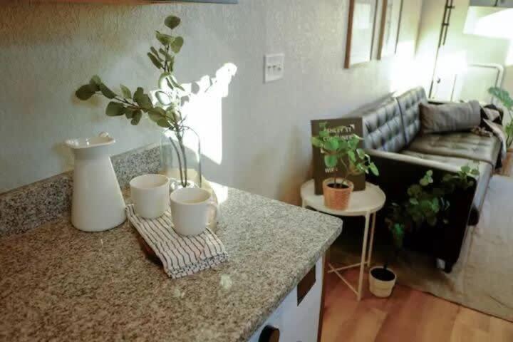 Hip Container Apt - 5 Min Walk To Tiaa Bank Jacksonville Ngoại thất bức ảnh